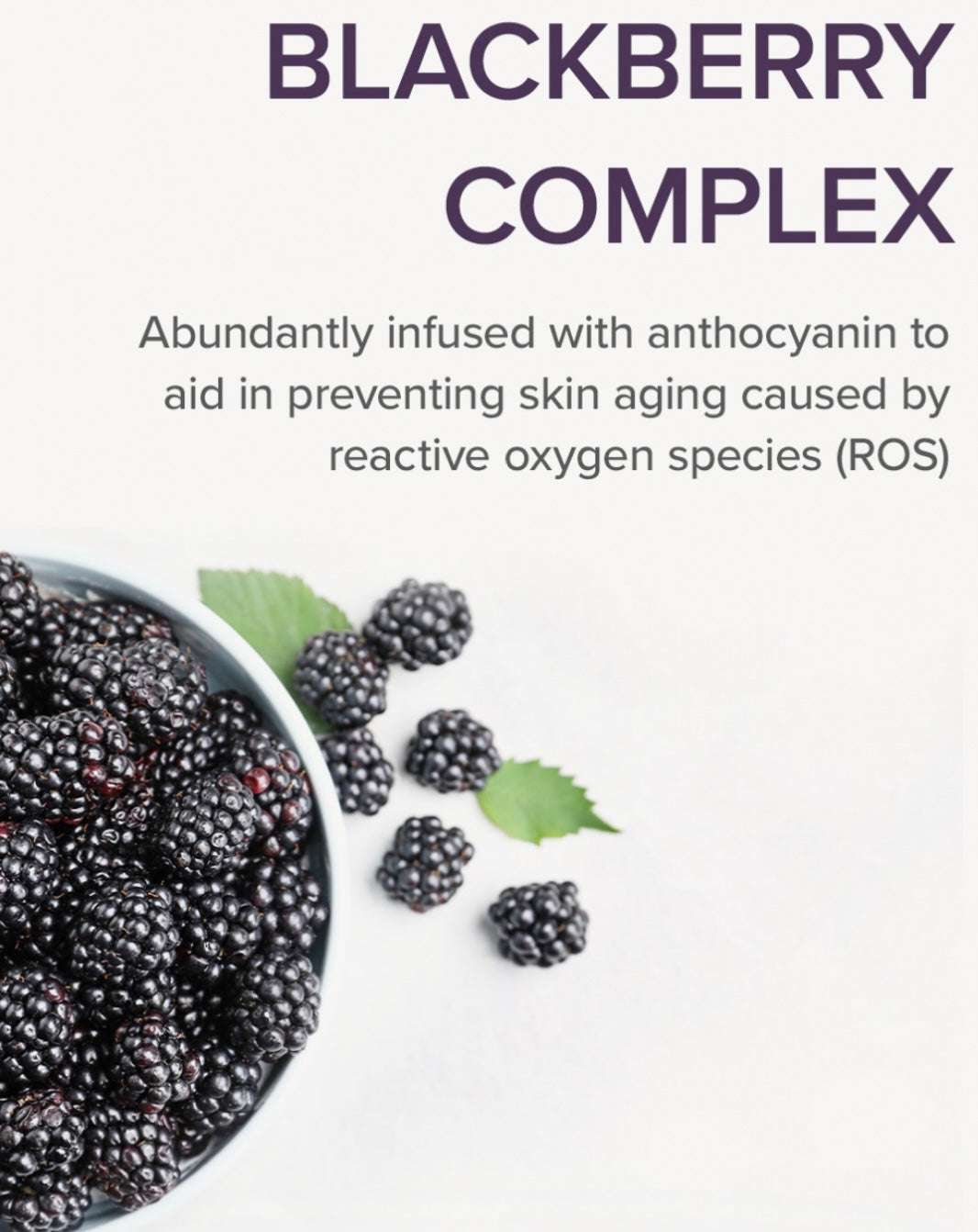 Mary&May Idebenone + Blackberry Complex Intense Cream - 70ml - Sapphire Beauty Booth
