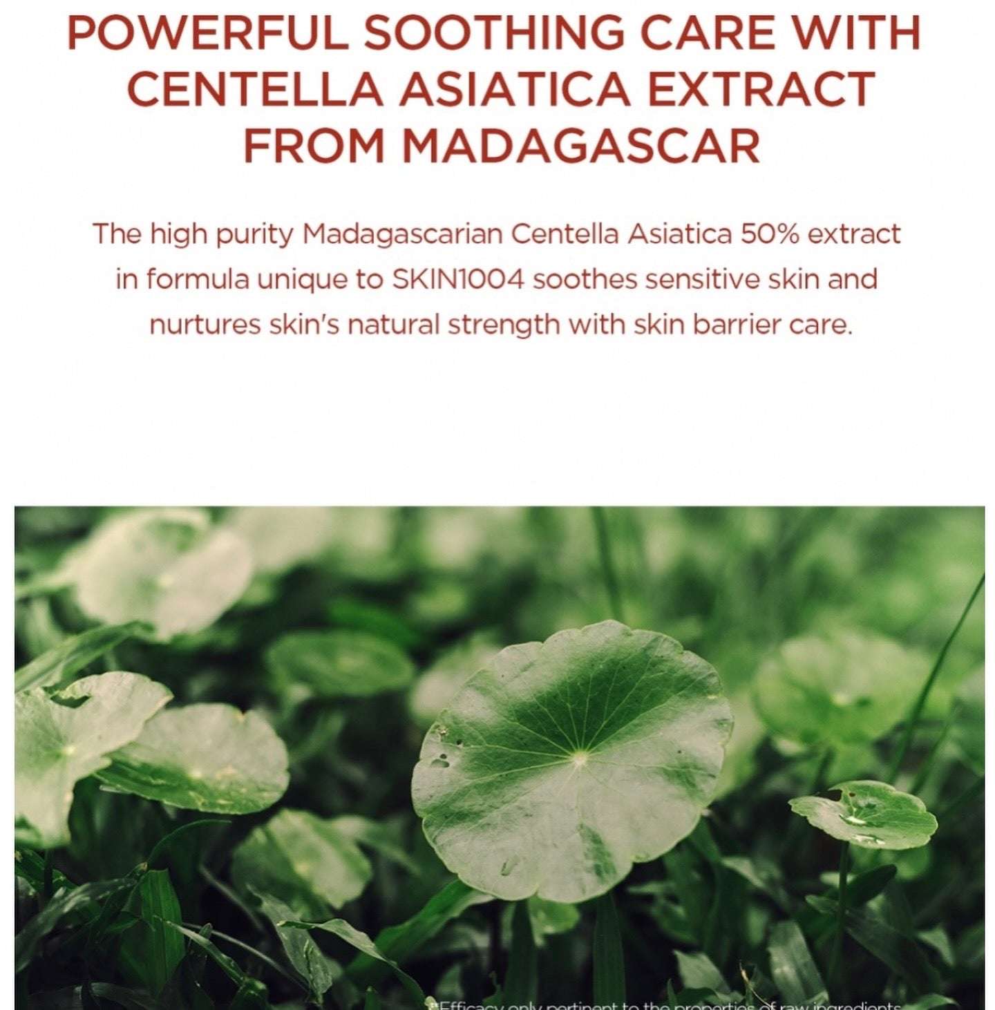Skin1004 Madagascar Centella Poremizing Clear Toner - 210ml - Sapphire Beauty Booth