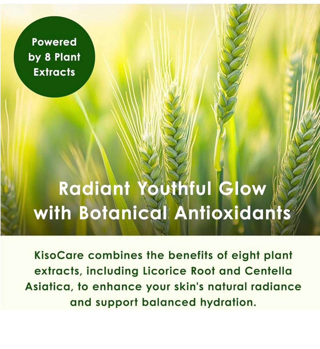 Kisocare - Azelaic Acid Derivative 15% Beauty Essence - 30ml - Sapphire Beauty Booth