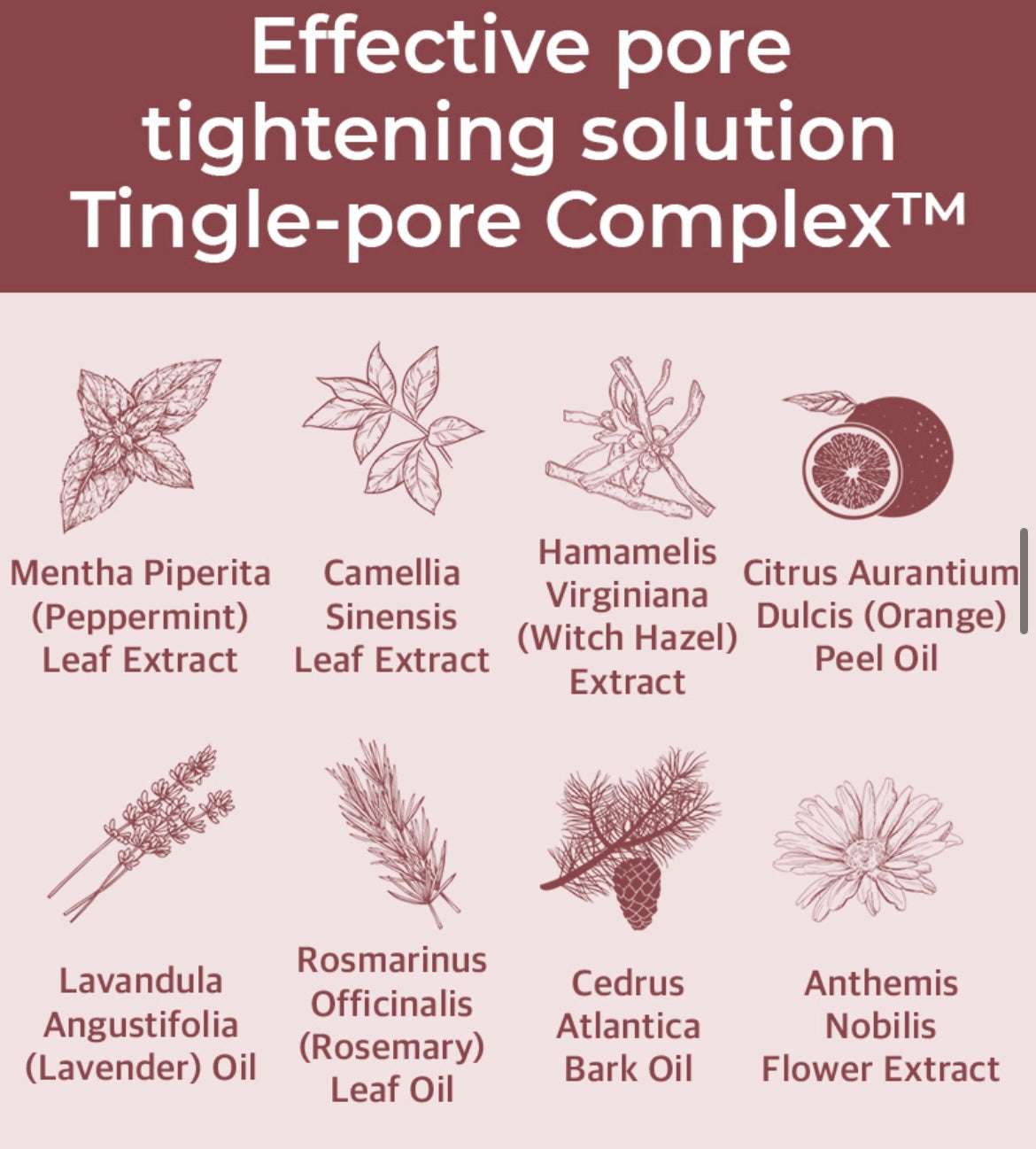 Numbuzin No. 3 Tingle-Pore Softening Sheet Mask - 1 each - Sapphire Beauty Booth