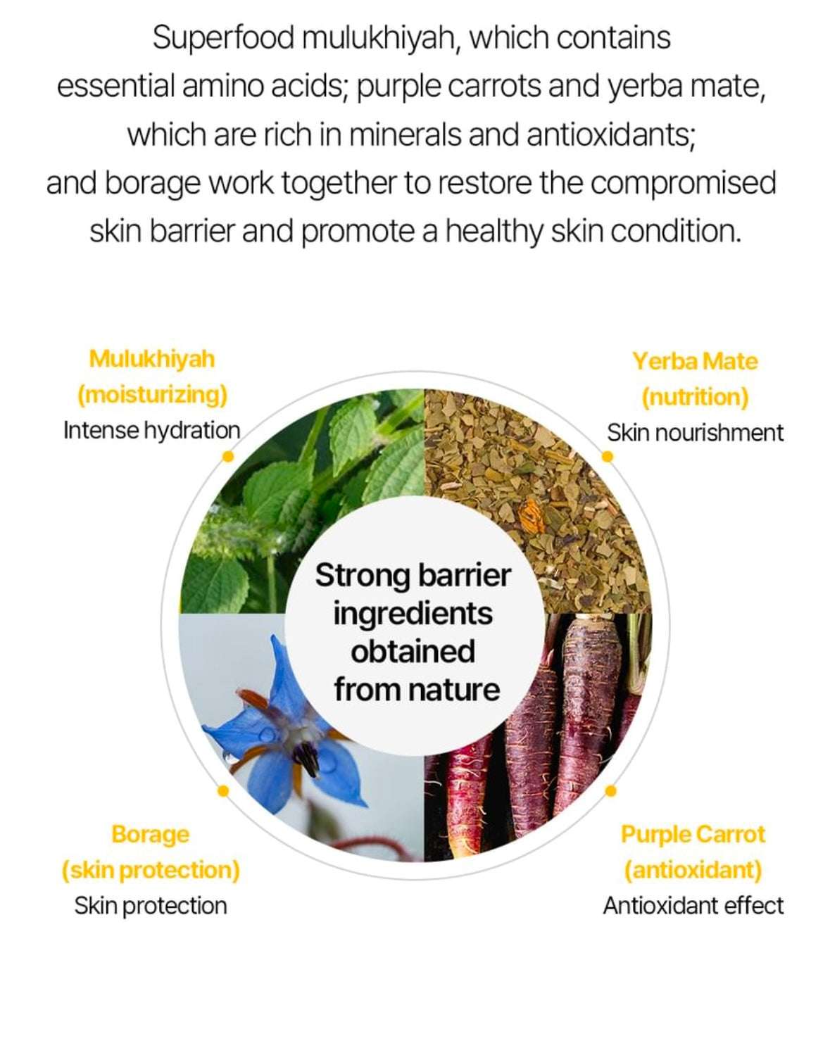 Ongredients Skin Barrier Calming Lotion - Sapphire Beauty Booth