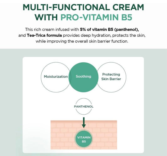 Skin1004 Madagascar Centella Tea-Trica B5 Cream -75 ml - Brightening Moisture Gel Cream, Anti-Blemish Body Lotion, skin moisturizer, dark spot correcting serum, needly daily toner pad, oil cleansers, moisturizing sunscreen, hand cream - Sapphire Beauty Booth