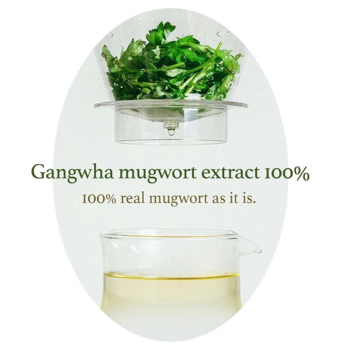 I'm from Mugwort Essence Mini - 30ml - Sapphire Beauty Booth